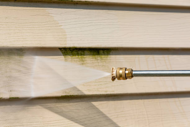 Best Pressure Washing Company Near Me  in Evadale, TX