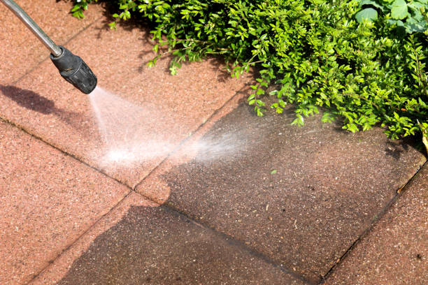 Best Commercial Building Pressure Washing  in Evadale, TX
